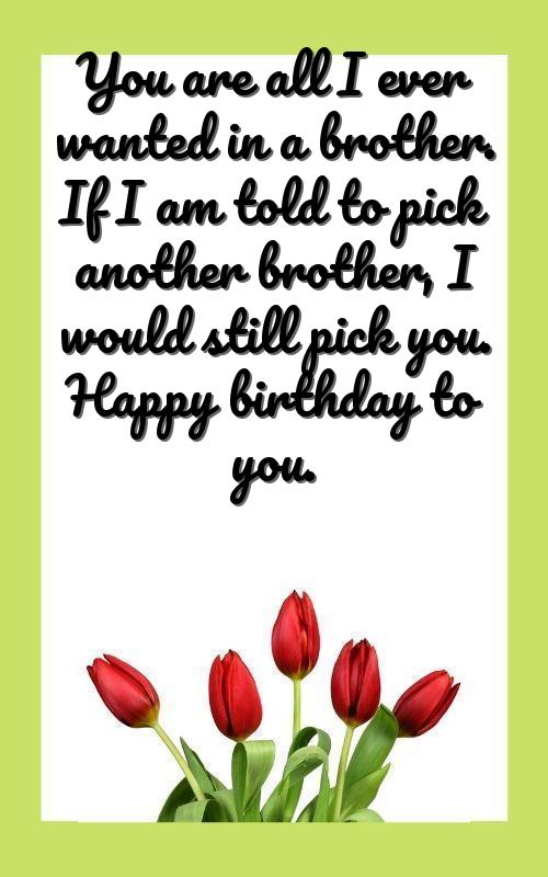 hbd brother quotes